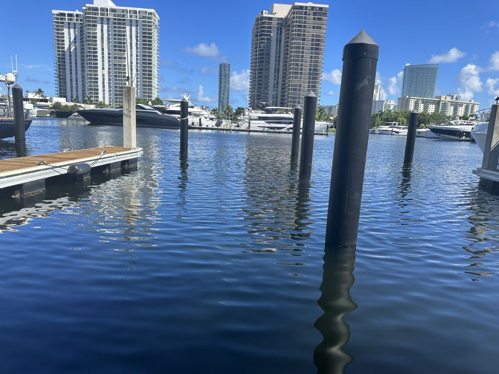 Marina: Dock