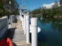 Home: Dock