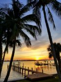 Home: Dock