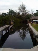 Home: Dock