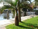 Home: Dock