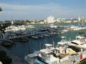 Condo: Dock