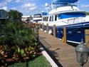 Home: Dock