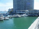 Marina: Dock