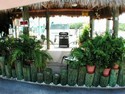 Marina: Dock