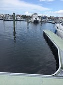 Marina: Dock