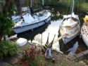 Condo: Dock