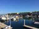 Marina: Dock