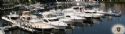 Marina: Dock
