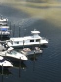 Condo: Dock