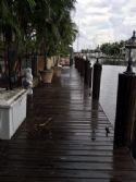 Home: Dock