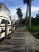 Home: Dock