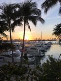 Marina: Dock