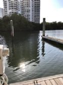Home: Dock
