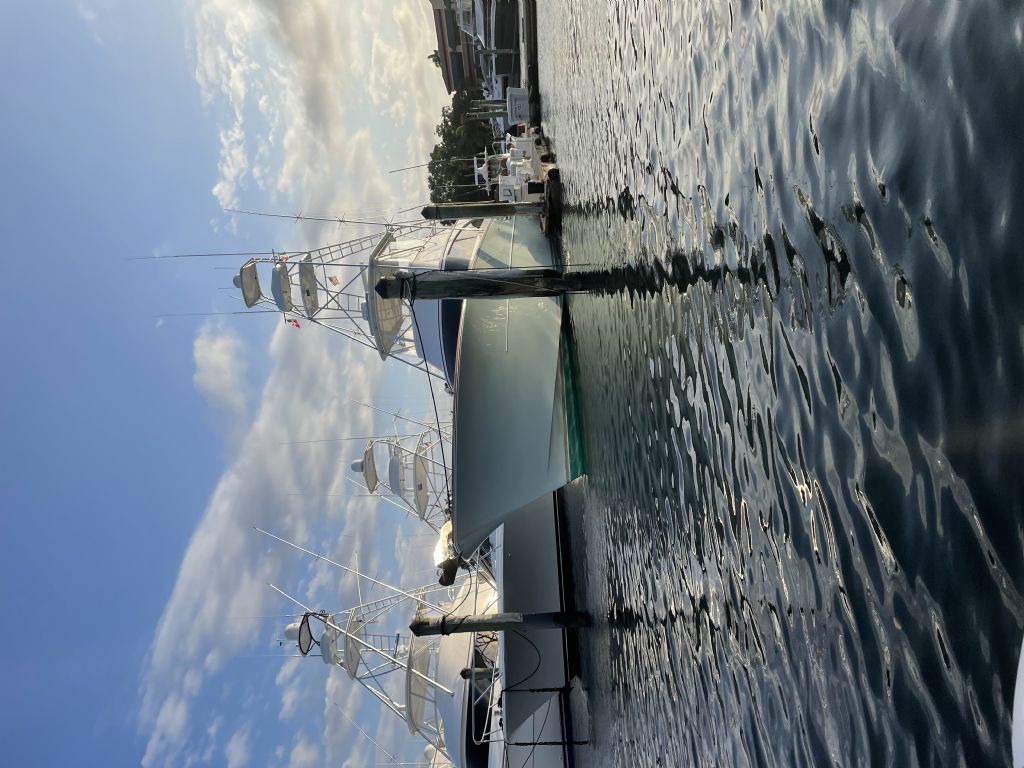 Marina: Dock
