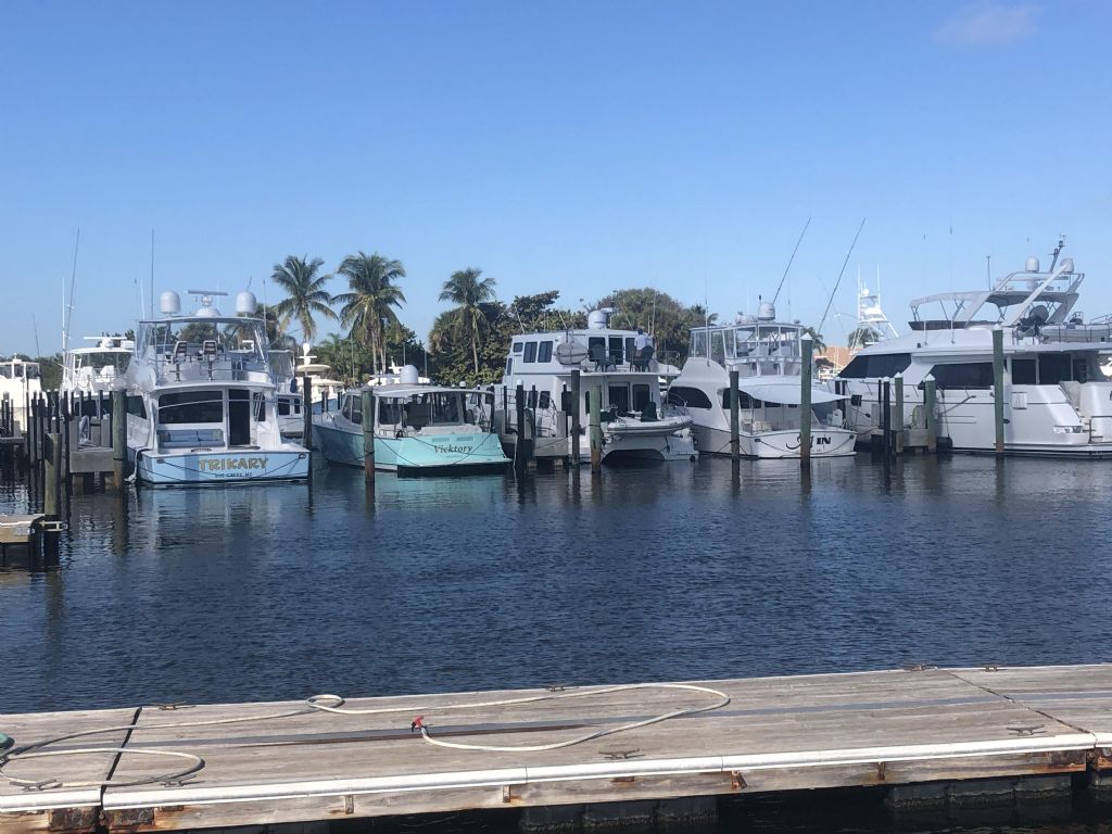 Marina: Dock