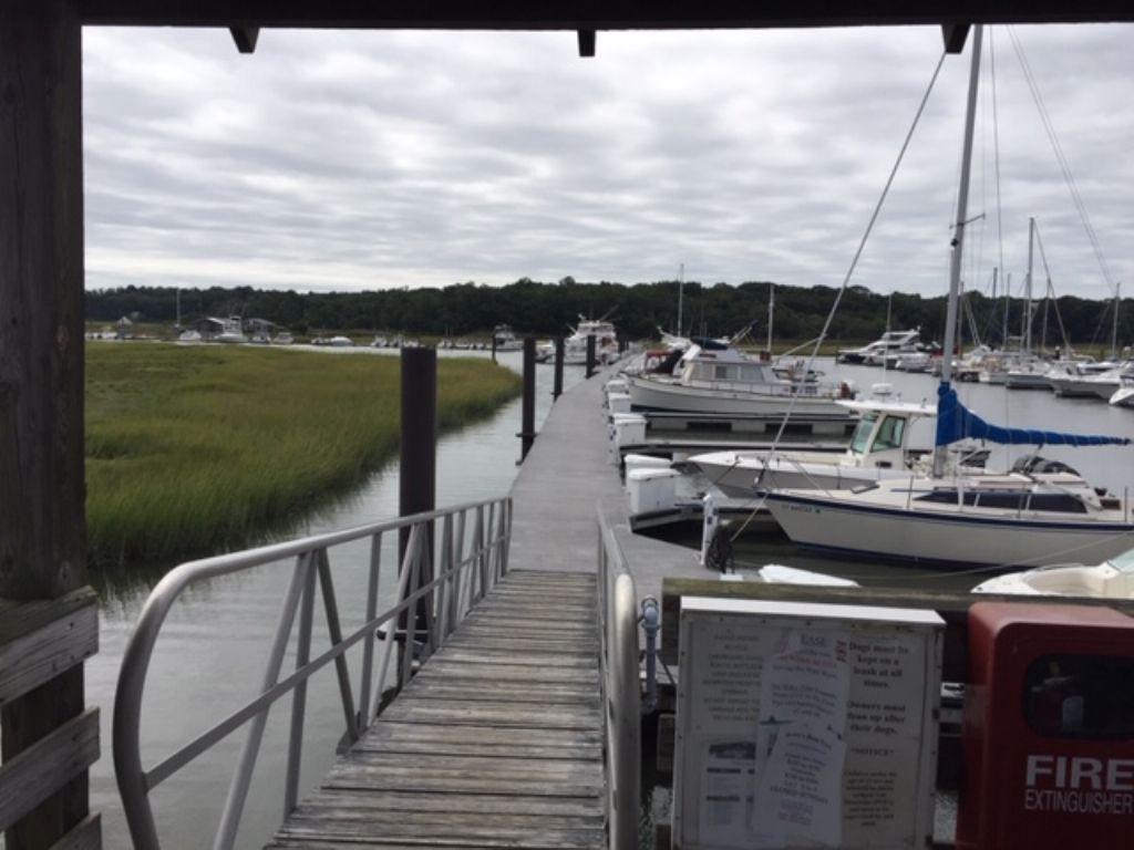 Marina: Dock