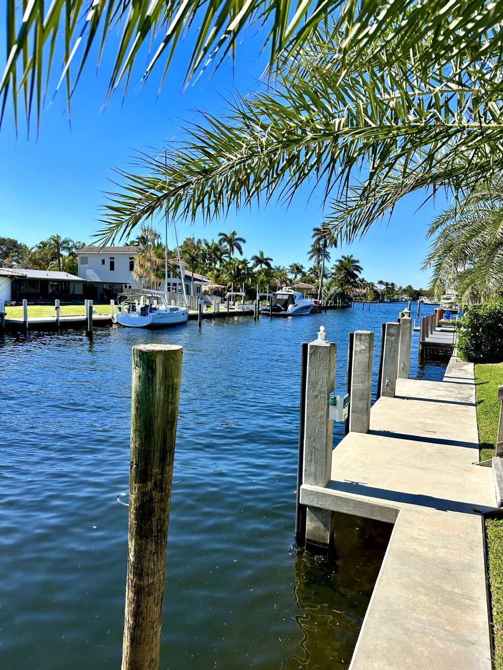 Home: Dock