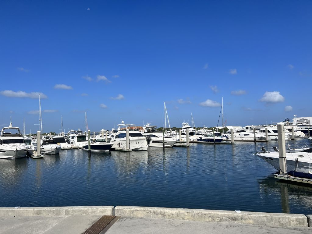 Marina: Dock