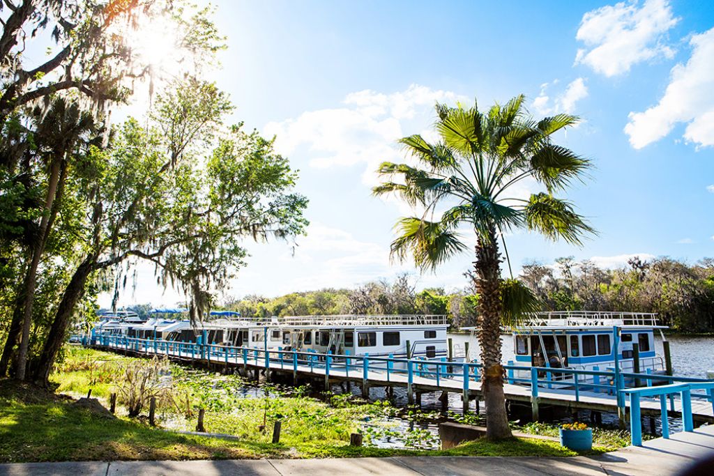 Marina: Dock
