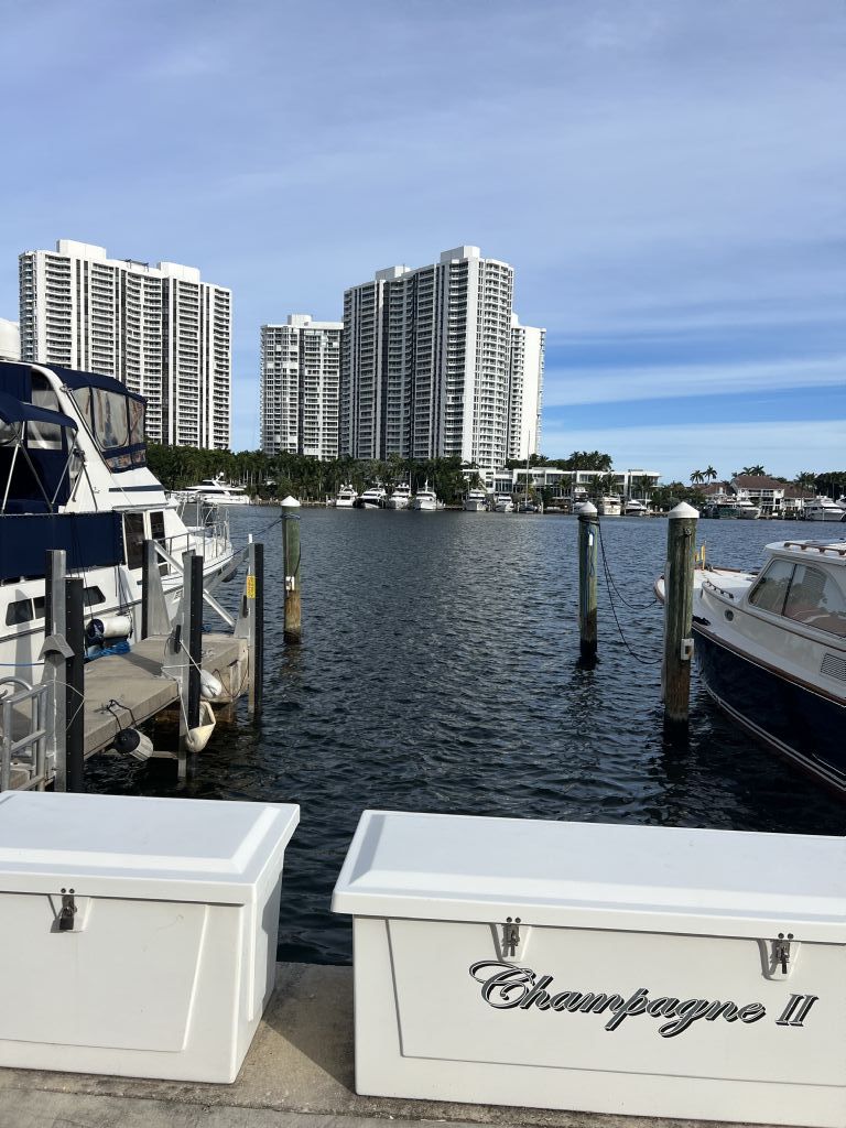 Marina: Dock