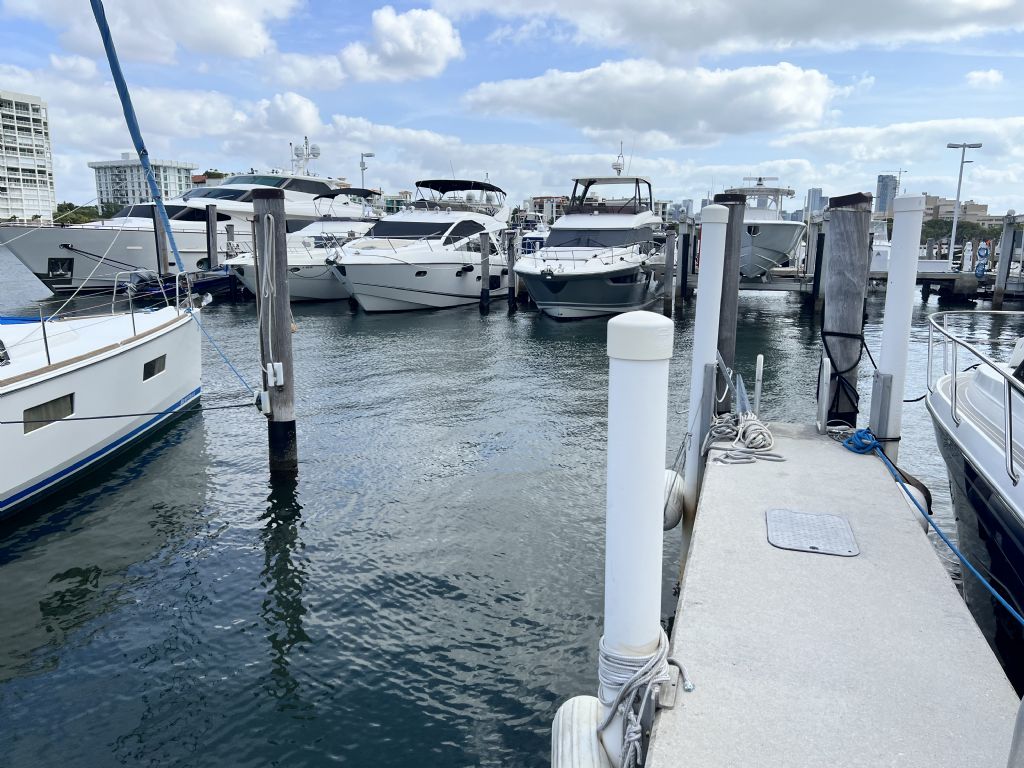 Marina: Dock