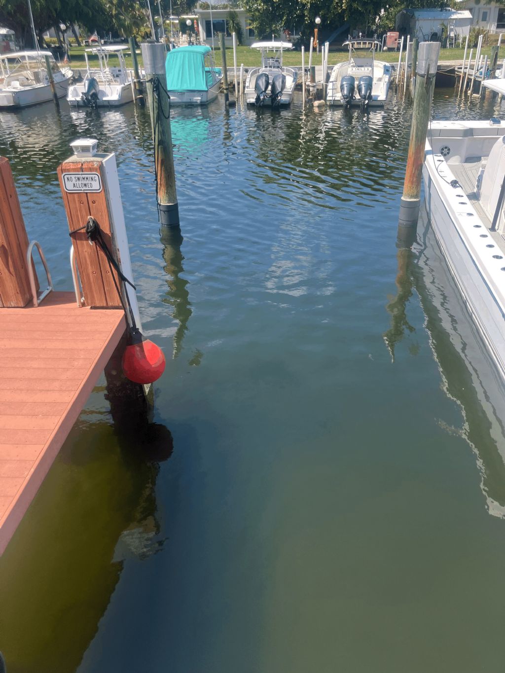 Home: Dock