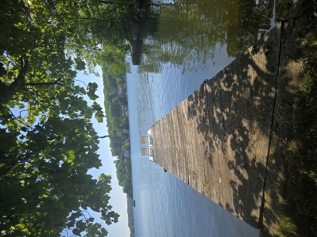Vacant Lot: Dock