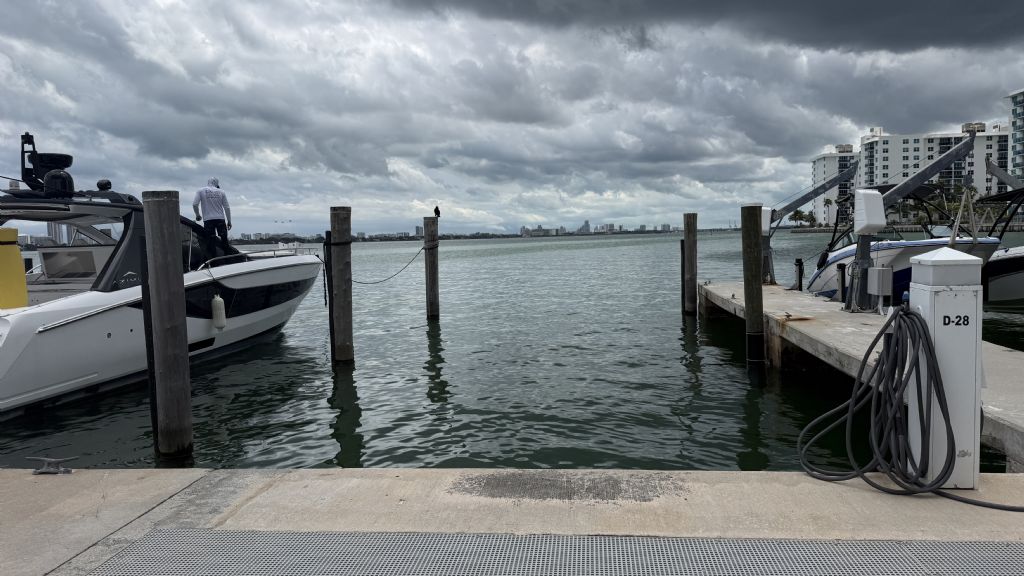 Marina: Dock