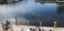 Home: Dock