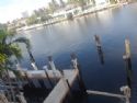 Home: Dock